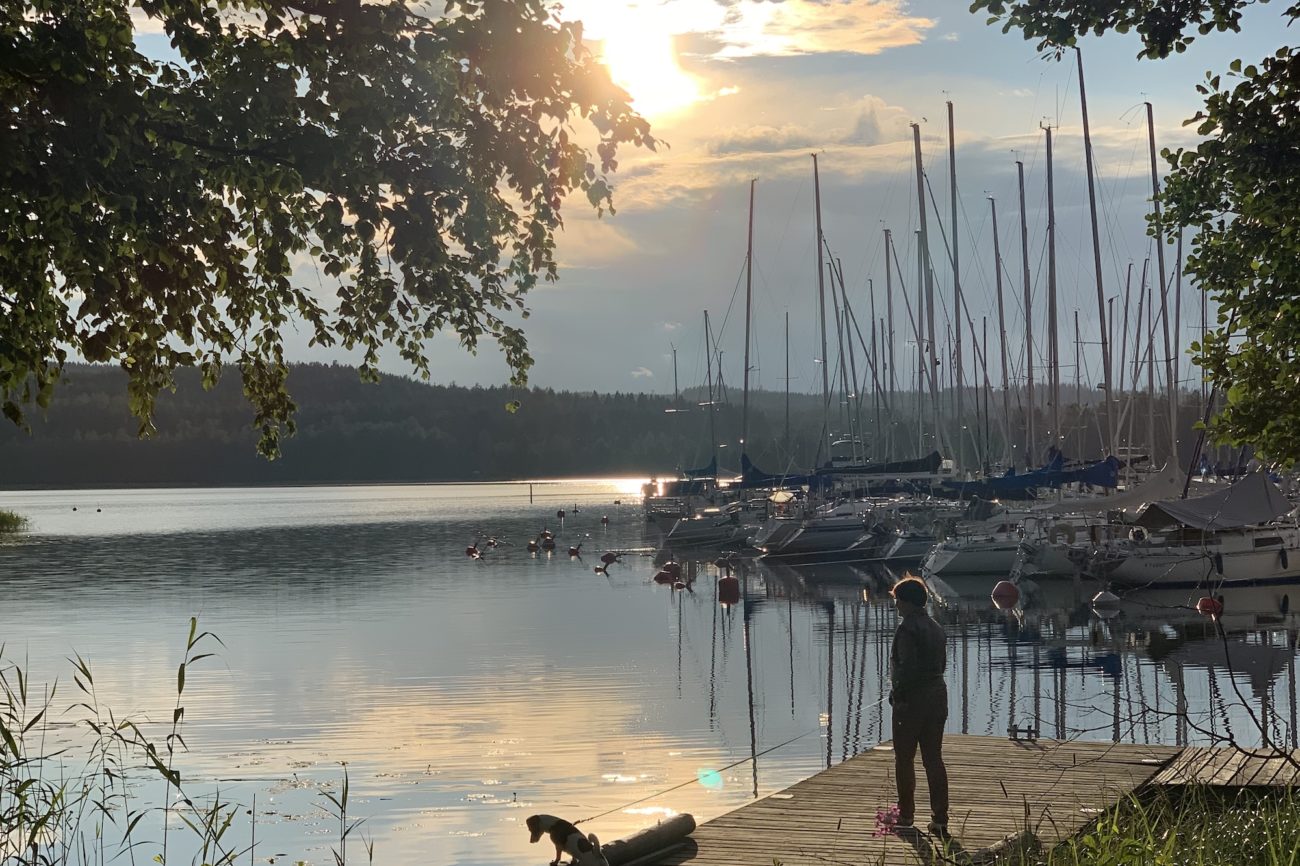 Juurikkasaaren kotisatama Jyväskylän Veneseura